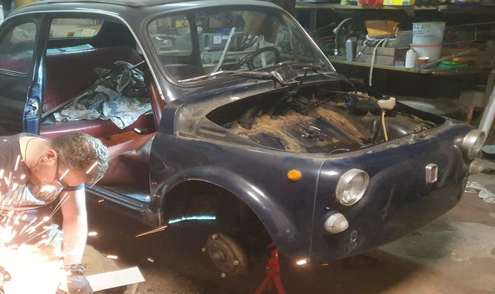 Houtjetouwtje in natuurlijke habitat